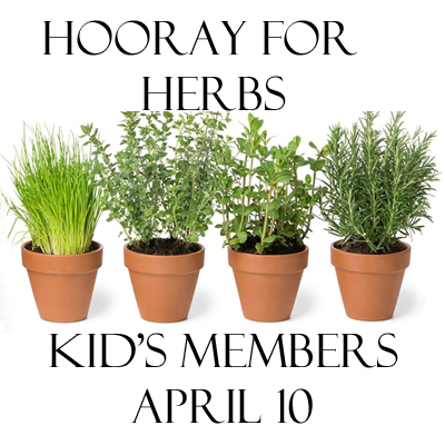 Hooray for Herbs